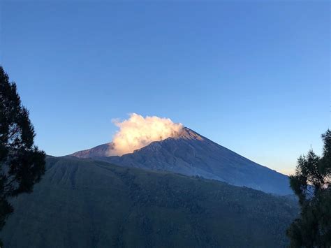 JAYA TREKKER (2026) All You Need to Know BEFORE You Go (w/ Reviews ...