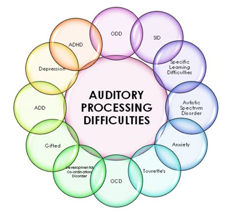 Auditory Processing System 的图像结果