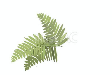 Image result for API Error Vector Image
