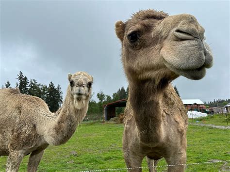 Birthday Party Essentials: Where to Celebrate in PDX - PDX Parent