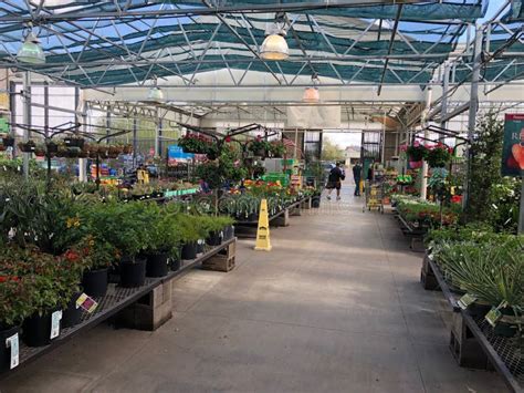 Image result for Lowe's Flower Garden