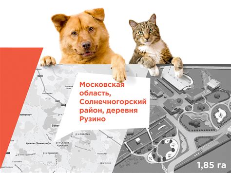 «Мокрый Нос» / "Wet Nose" - a charity Park shelter on Behance