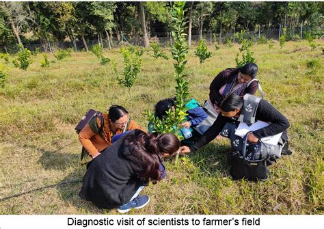 Dr YS Parmar University of Horticulture & Forestry