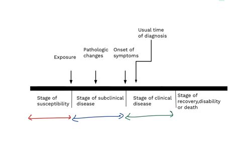 Diagram of Pathogenesis 2 | Quizlet