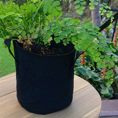 Fabric Pot Grow Bags | The Seed Collection