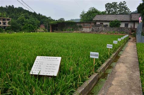 湖南祁阳农田生态系统国家野外科学观测研究站