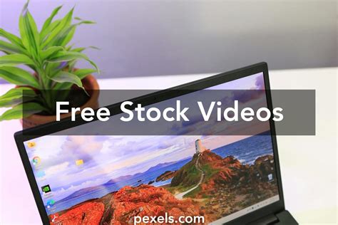 Beach Green screen 的图像结果