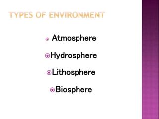 Basic Components of the Environment 的图像结果