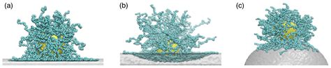 Polymeric and Polymer-Functionalized Drug Delivery Vectors: From ...