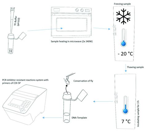 Image result for Barcoding Procedure