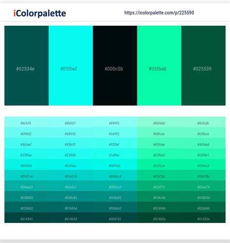 Dark Aqua Green Color