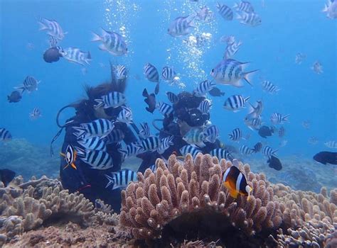 OKINAWA DIVING 20 (2026) All You Need to Know BEFORE You Go (w/ Reviews ...