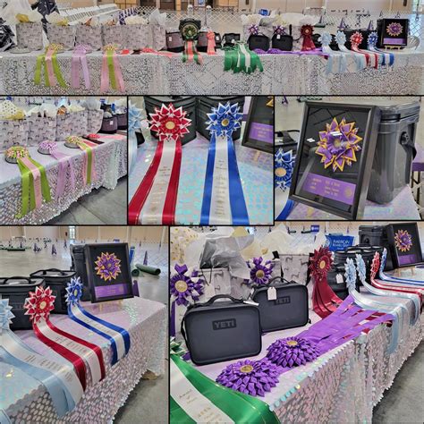 Rosette Gallery – Rau Dog Shows, LTD.