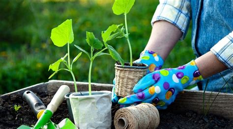 Image result for Spring Gardening Tips