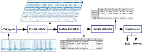Image result for SCD Tutorial