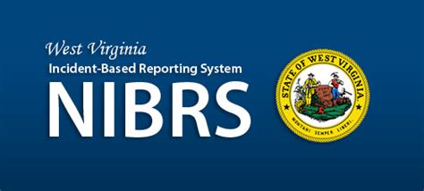 How to Use NIBRS 的图像结果