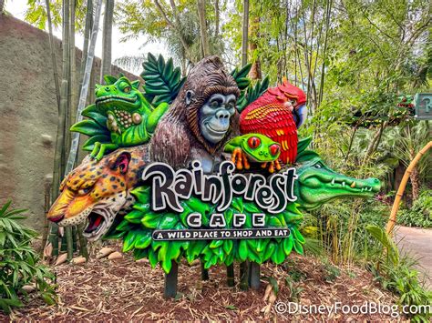 Animal Kingdom Restaurants | the disney food blog
