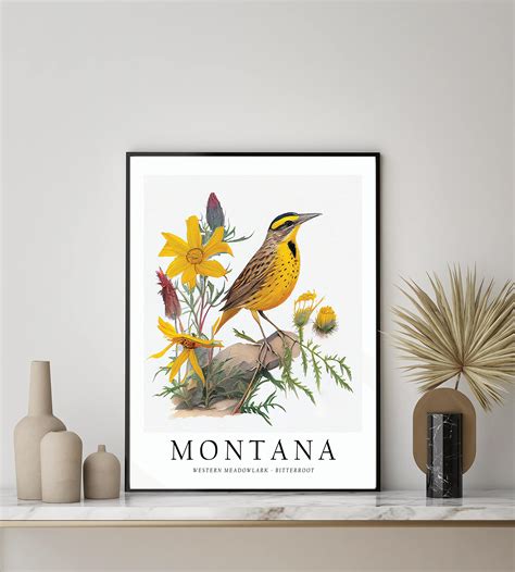 Western Montana State Bird Five 20c MONTANA State Bird And Flower