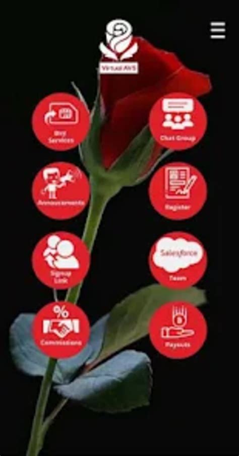 Image result for AVS Version