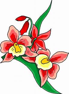 Clipart Flower by All Cliparts Flowers Clipart Clipart Flower