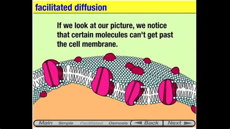 Image result for Animation How Diffusion Animation How Diffusion Works