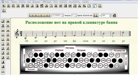 расположение кнопок на баяне правой руки