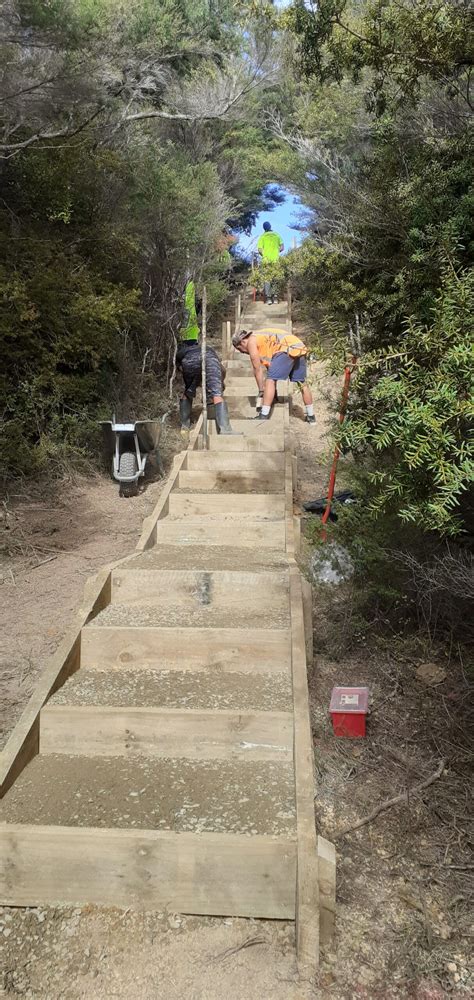 track works 的图像结果