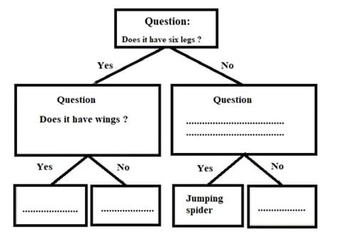 Classification Key for Kids 的图像结果