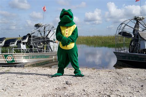 Florida Python Attacks 的图像结果