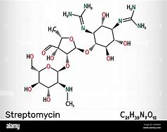 streptomycin 的图像结果