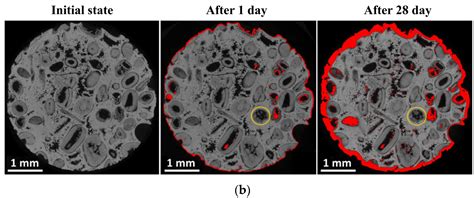A Review of Atmospheric Deterioration and Sustainable Conservation of ...