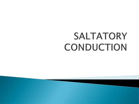 Saltatory Conduction Animation 的图像结果