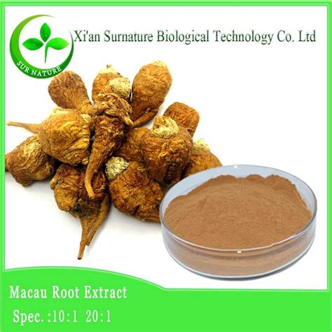maca root extract 的图像结果