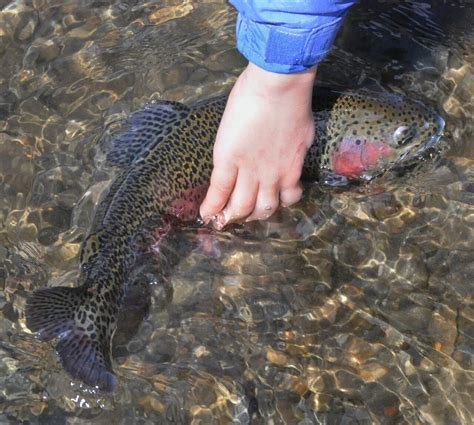 Quabbin Reservoir fishing season begins Saturday morning - masslive.com