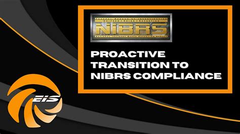 How to Use NIBRS 的图像结果