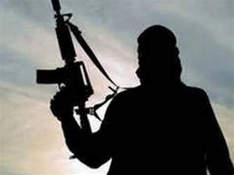 Three top Maoist leaders killed in Andhra-Odisha border operation by ...