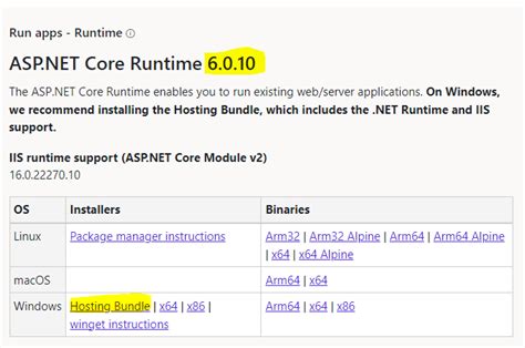 Image result for IIS .Net Core 6 Web API with Domain Name