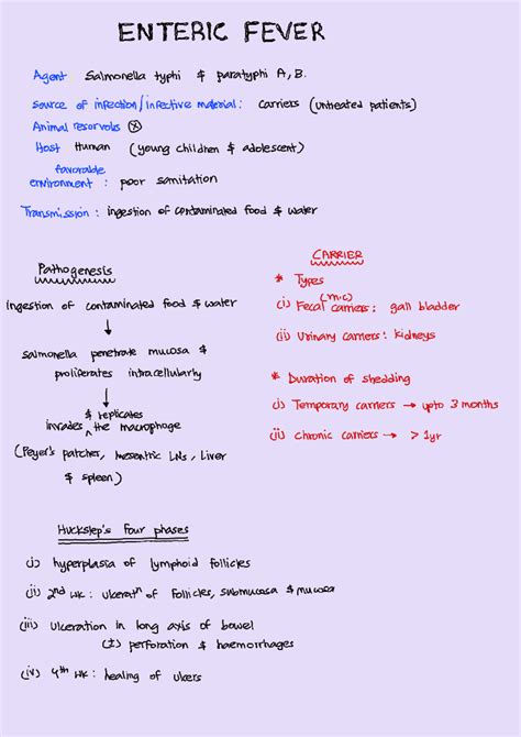 Typhoid - In essential detail, less content covering all necessary ...