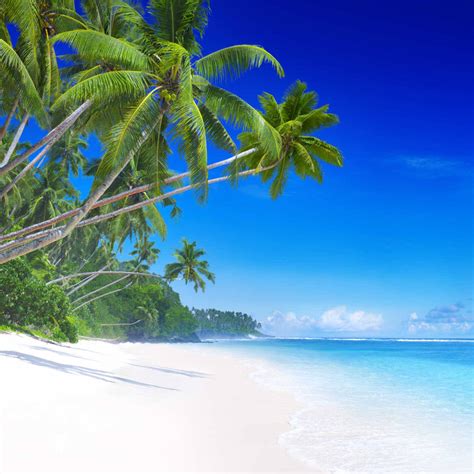 Alpine Lakes Wilderness Area Live Weather, USA