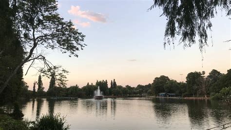 How Deep Is Zoo Lake
