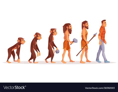 Human evolution stages cartoon concept Royalty Free Vector