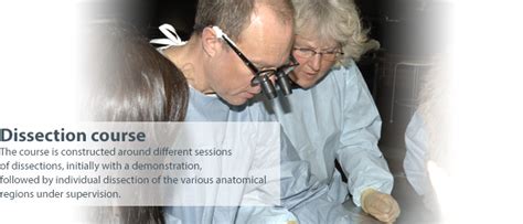 Image result for Hand Dissection