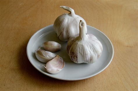 Free Images : dish, food, garlic, produce, vegetable, cuisine, flu, temperature, antibiotic, the ... - genus of influenza virus