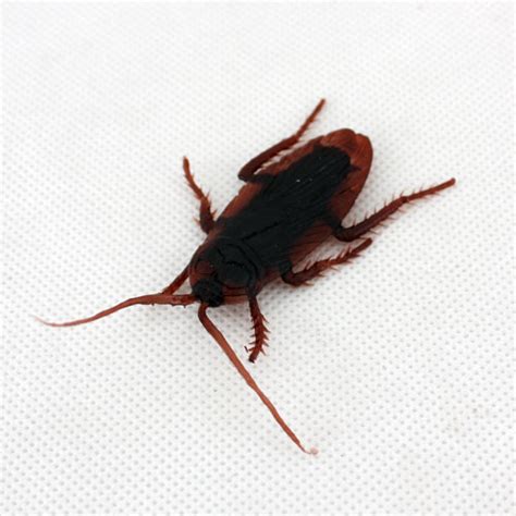 Electronic Cockroach 40-Piece Realistic Fake Cockroaches Prank Kit ...