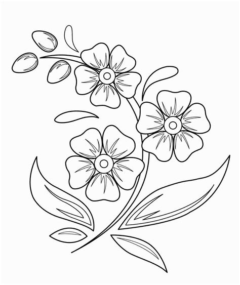 flower drawing trace