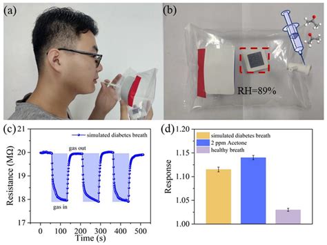 Metal Oxide Gas Sensors to Study Acetone Detection Considering Their ...