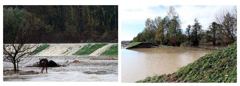 Application of Reliability Analysis for Risk Ranking in a Levee ...