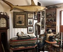 Image result for curiosities
