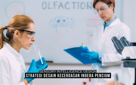 Image result for Functional Testing vs Structural Testing