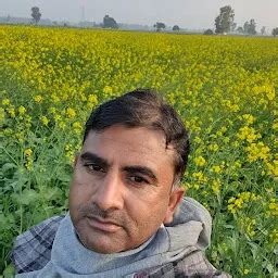 Best Top Rated Agricultural production in Gunyana, Haryana, India ...